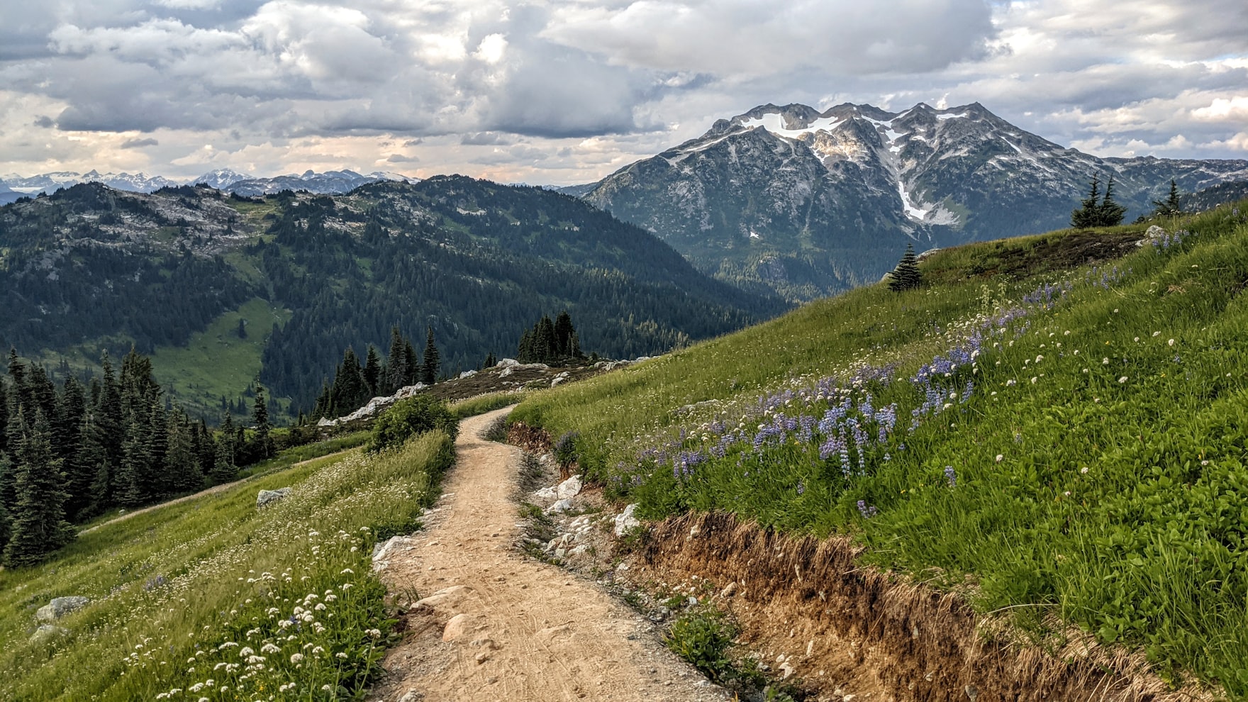 Un sentier qui monte régulièrement le long d’une crête, pas à pas.